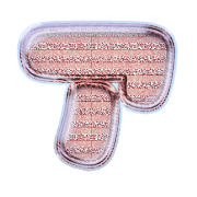081