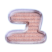 117