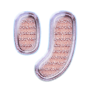 120