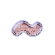 224