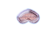 231