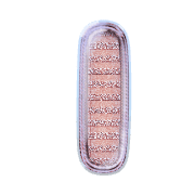 242