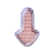 261