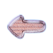 263