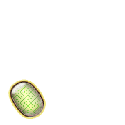 256