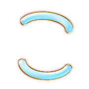 010