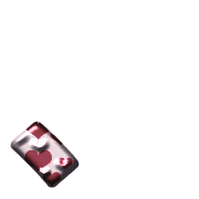 256