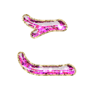 010