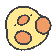 031