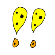 007