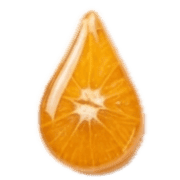019