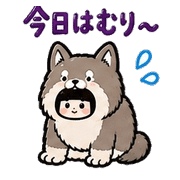 020