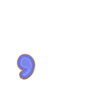 245