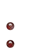 244