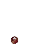 246