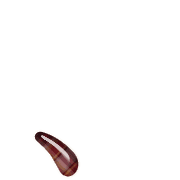 256