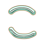 010
