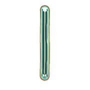 242