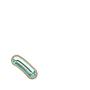 256