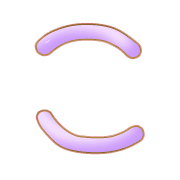 010