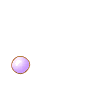 246