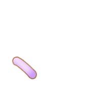 256