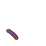 256