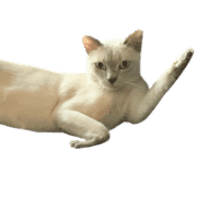 021