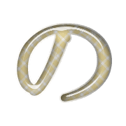 025