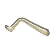 029