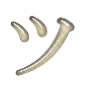 098