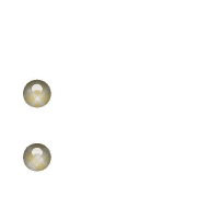 244