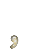 245