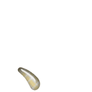 256