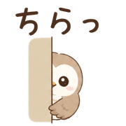 019