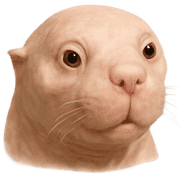 013