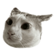 008