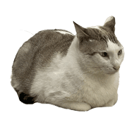 019