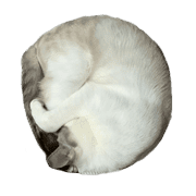 021
