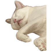 032