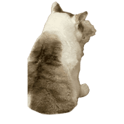 034