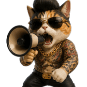 009