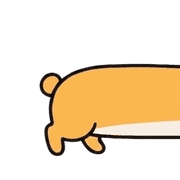 031