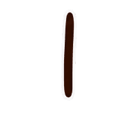 081