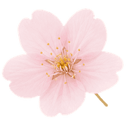 019
