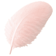 033