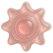 008
