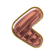 008
