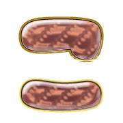 010
