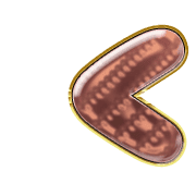 248